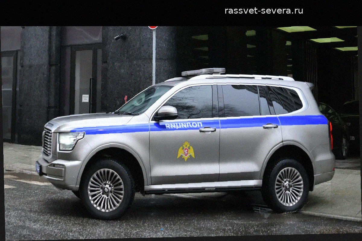 В Зеленодольске полиция задержала женщину за нападение на торговый объект и подростка
