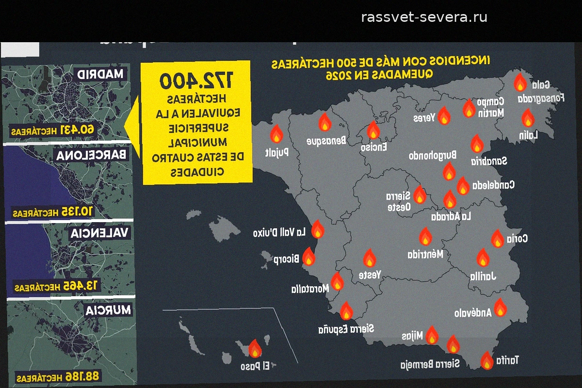 Пожары в Испании в 2026 году: огонь поглотил территорию размером с Мадрид, Барселону, Валенсию и Мурсию