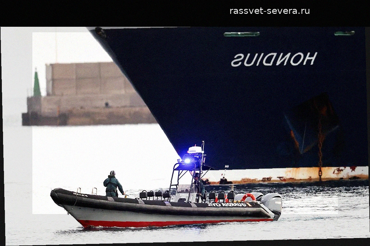 Пассажиры круизного судна MV Hondius признаны контактами высокого риска из-за хантавируса