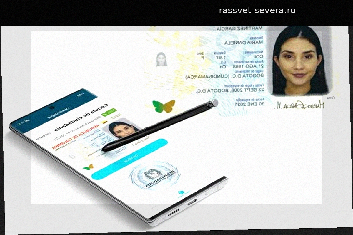 Как восстановить цифровую ID-карту при смене смартфона: пошаговая инструкция