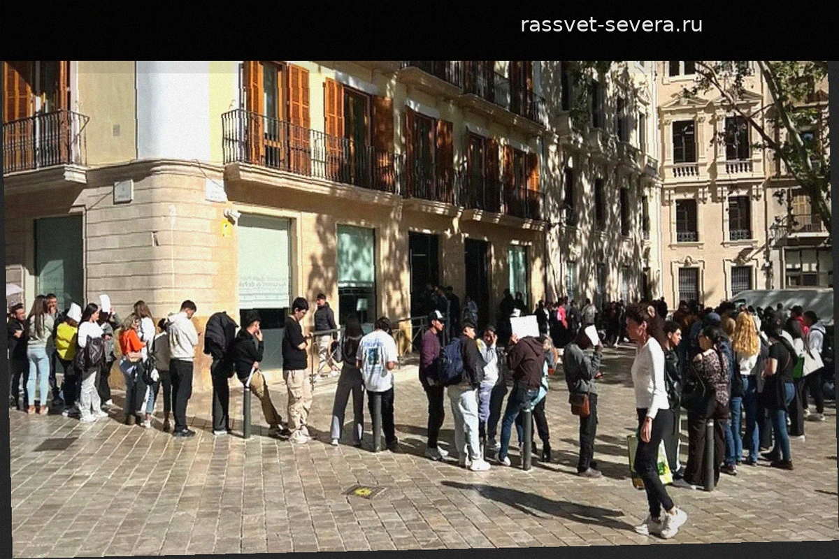 Партия Vox требует усиления мер безопасности в центрах обслуживания граждан в Пальме