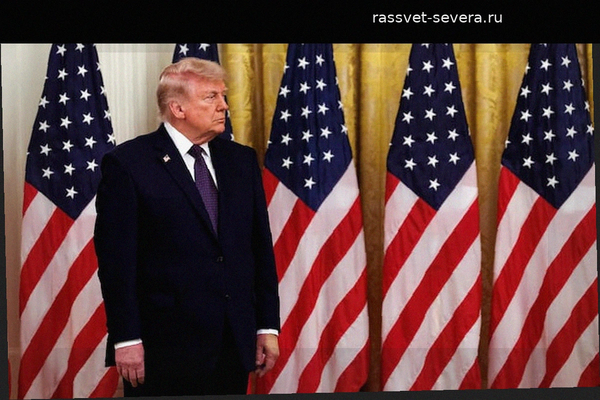 Насколько весома поддержка Трампа? Его роль в выборах Латинской Америки