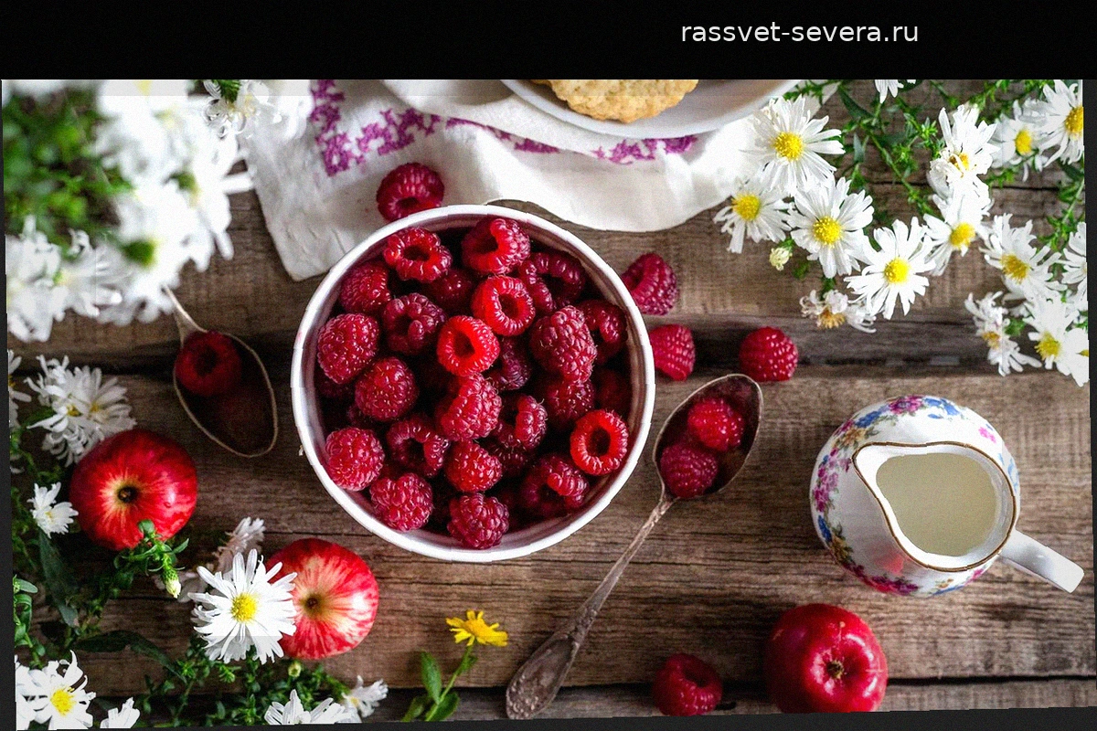 Мнение нутрициологов: 3 обязательных продукта для тех, кому за 50, чтобы защитить мышцы и предотвратить саркопению