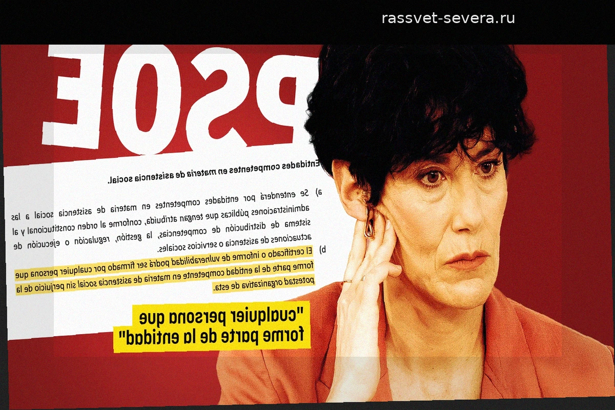 Испания упрощает легализацию мигрантов: волонтеры НПО получили право выдавать справки об уязвимости