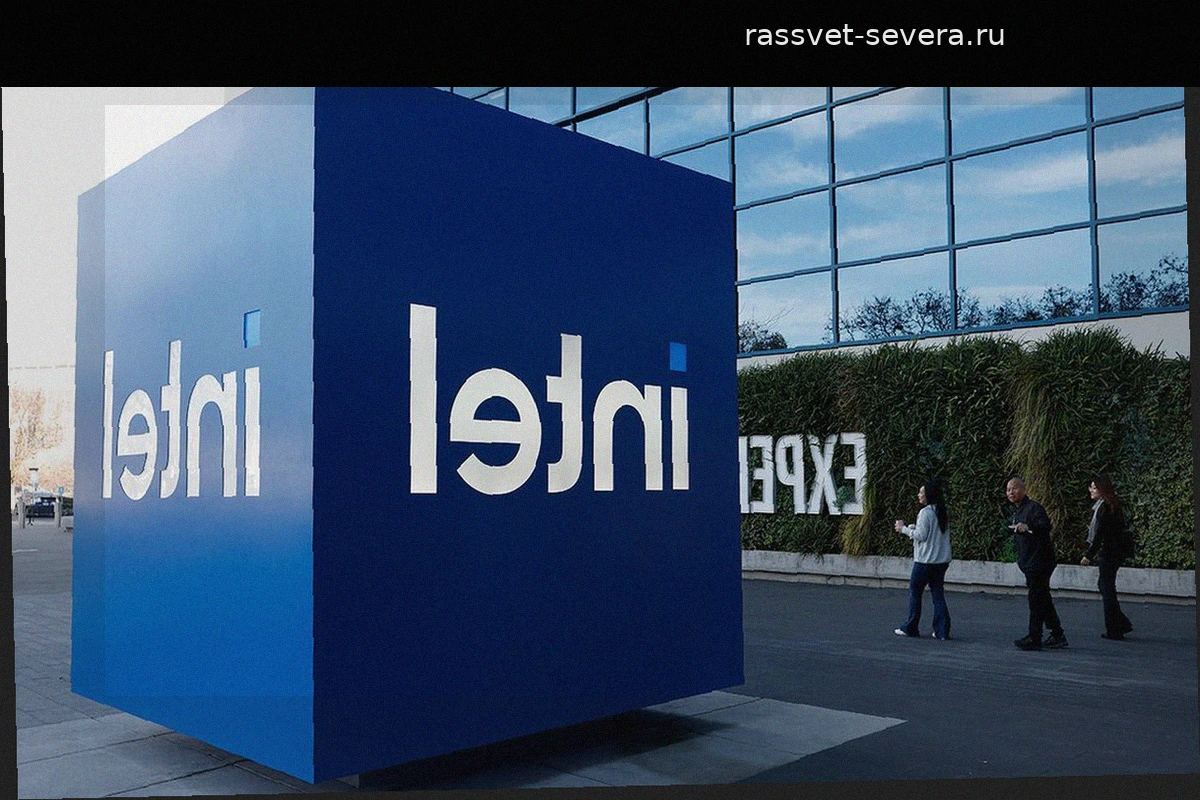 Анализ последствий вывода продукции Intel, Asus и HP из параллельного импорта